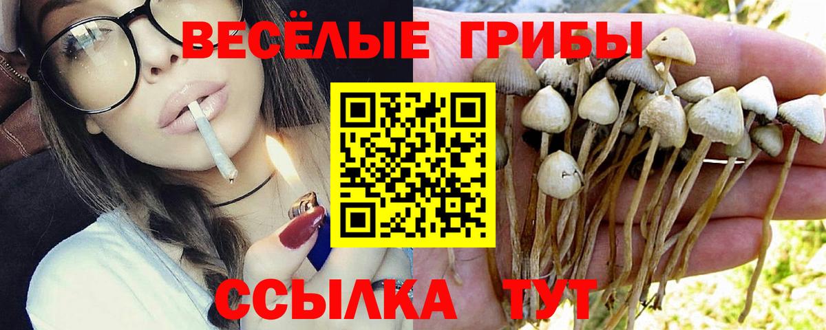 Галлюциногенные грибы MAGIC MUSHROOMS Котлас