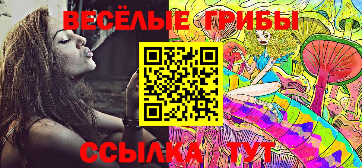 Псилоцибиновые грибы мухоморы  Вход с VPN  Котлас 