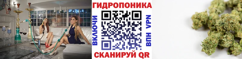 кракен ТОР  Котлас  Марихуана гибрид  купить  